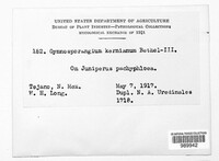 Image Associated With the Occurence